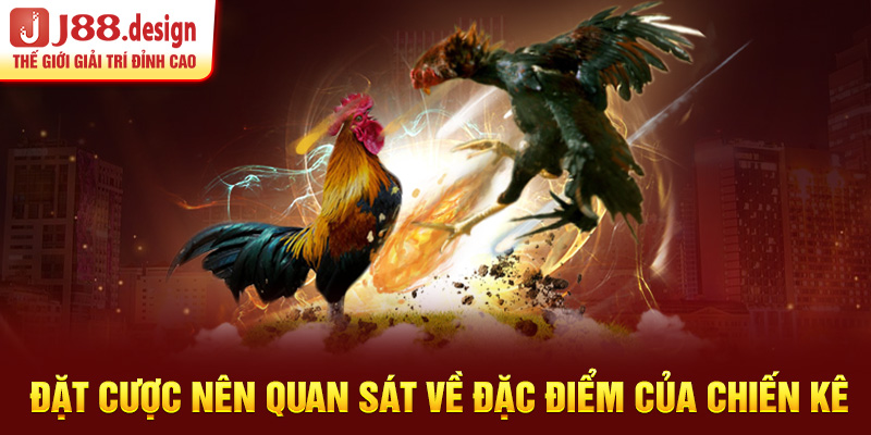 dat-cuoc-nen-quan-sat-ve-dac-diem-cua-chien-ke